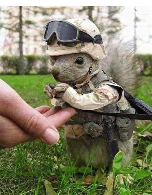 100-Amazing-&-Cool-Funny-Pictures-80 Image alt tage here