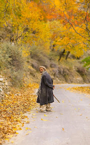 Autumn in Hunza Valley