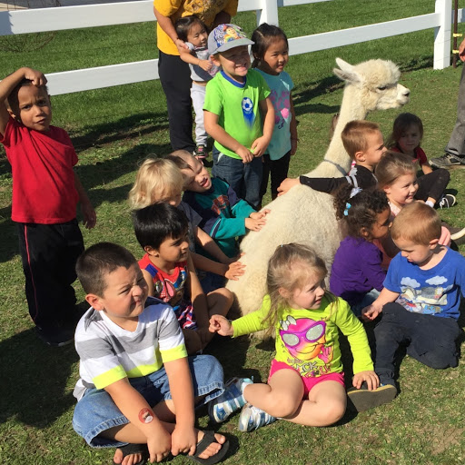 London Dairy Alpacas logo