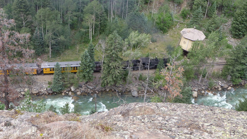 P1010205.JPG