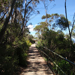 Prince Henry walk west of Echo point (92473)