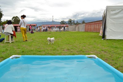 Photos of Villa Pet Hospedaje De Mascotas