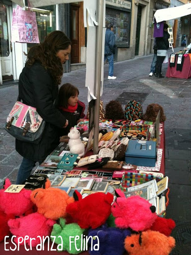 Esperanza Felina en "El Mercado de La Almendra" en Vitoria - Página 11 IMG_0572