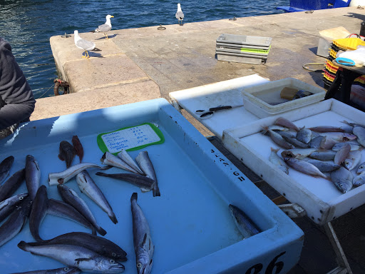 Marché aux poissons