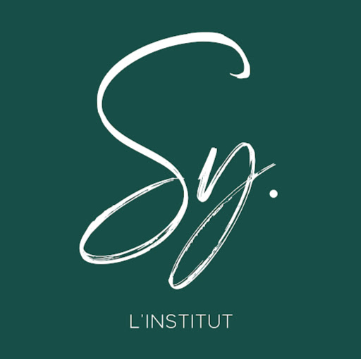 L’institut Sy logo