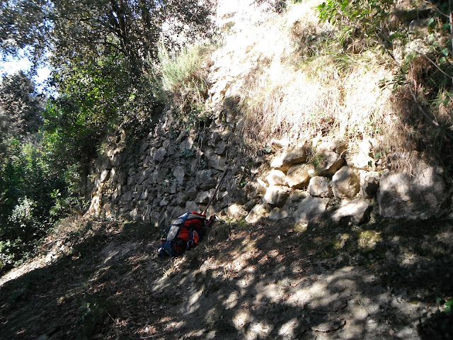 Feixons del torrent del Tro