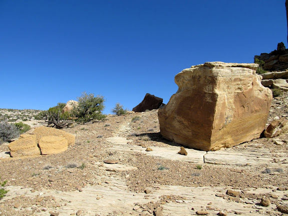 Boulders around the trail