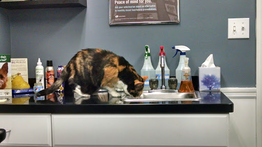 Veterinarian «Berwick Animal Clinic», reviews and photos