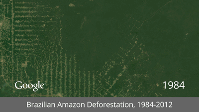 Brazilian+Amazon+Deforestation.gif