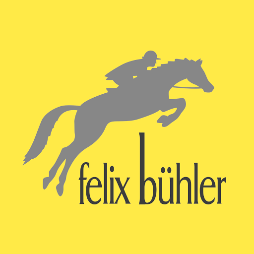 Felix Bühler Filiale Rapperswil-Jona logo
