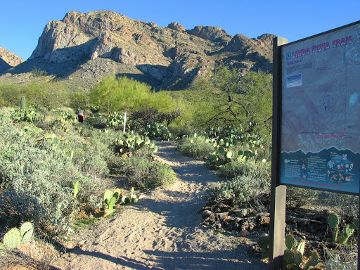 Tourist Attraction «Linda Vista Trail», reviews and photos, 730 E Linda Vista Rd, Oro Valley, AZ 85737, USA