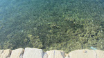 The clear water of the sea The clear water of the sea
