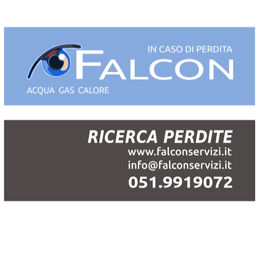 Falcon - In caso di perdita logo