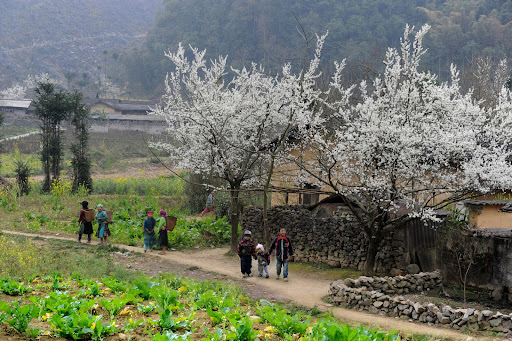 3-Buoi sang o Pho Cao