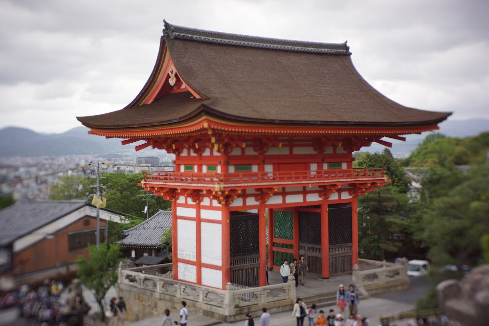 Kyoto & Nara