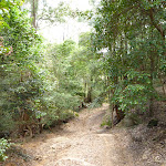 Turners Road Olney State Forest (363659)