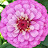 Maria G. avatar image