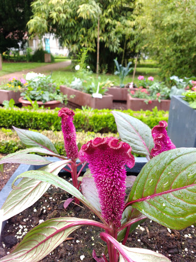 Jardin Dominique Alexandre Godron