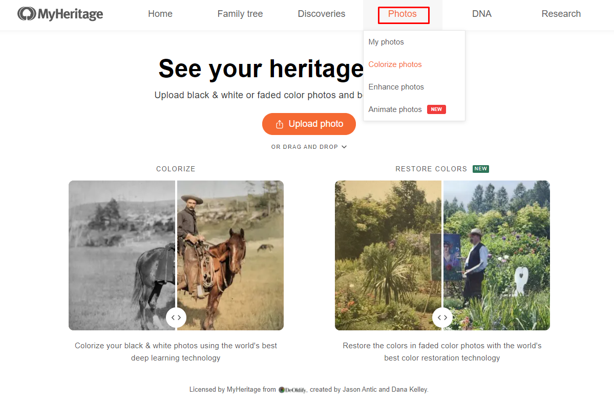 MyHeritage DNA kit review – is it the best? 14