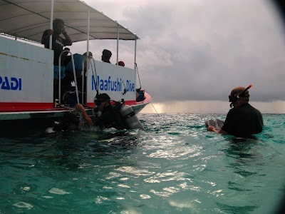 Photos of Maafushi Dive & Water Sports