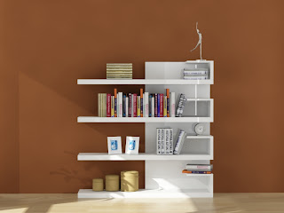 Modern Home Library designs 2011