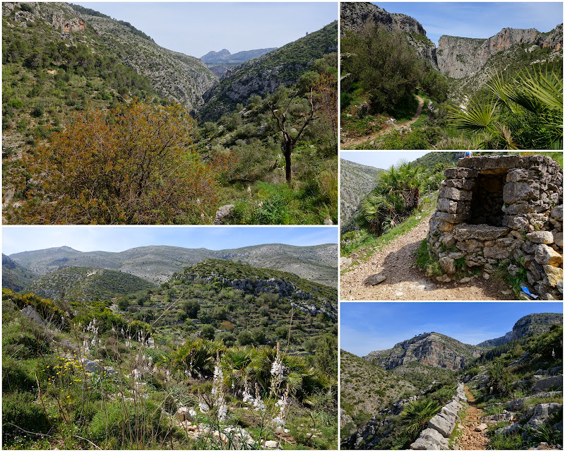 LA CATEDRAL DEL SENDERISMO Y SUS 6.000 ESCALONES. LA VALL DE LAGUAR (ALICANTE). - Senderismo por España. Mis rutas favoritas: emblemáticas, paseos y caminatas (14)