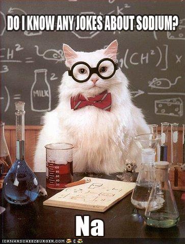 photo of chemistry cat sodium joke...Na