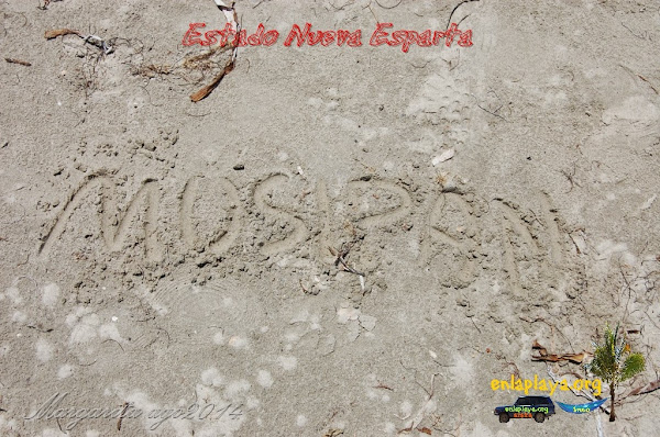 Playa Musipan NE130, Estado Nueva Esparta, Municipio Tubores