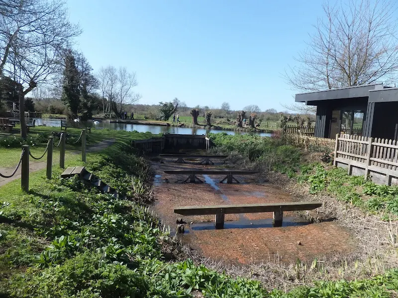 Flatford dry dock
