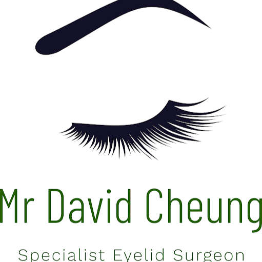 Mr David Cheung logo
