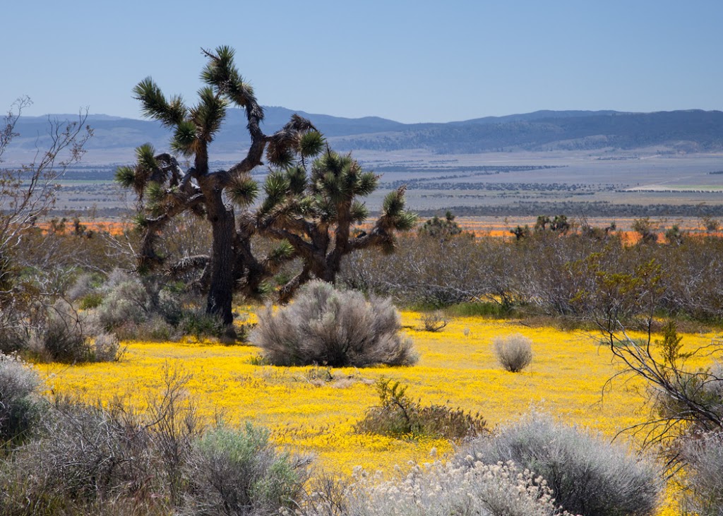 Landscape Photography Locations in Southern California - Jeff Sullivan ...