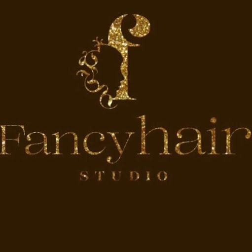 Fancy Hair Luxury Studios LLC logo