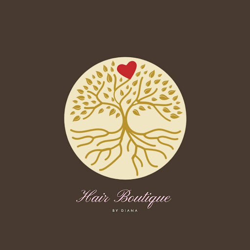 Hair Boutique By Diana logo