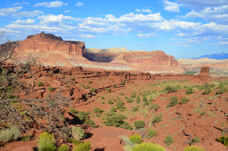 capitol reef