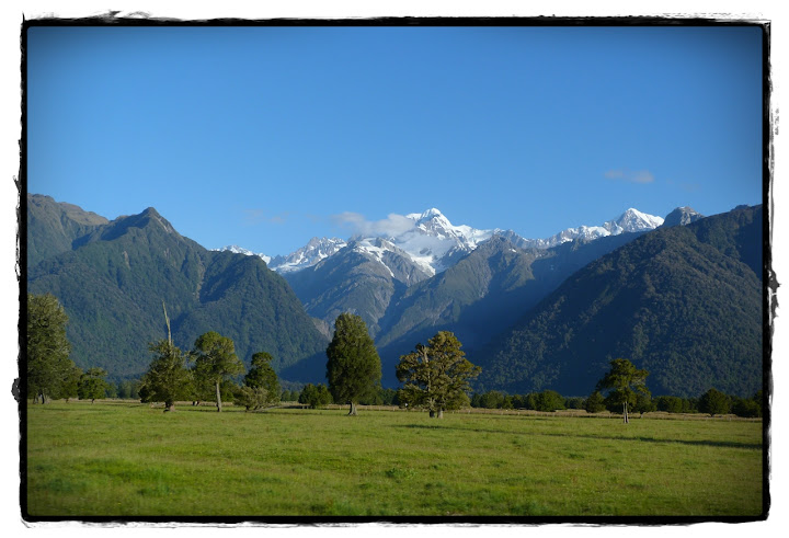 De Wanaka a Franz Josef: West Coast - Te Wai Pounamu, verde y azul (Nueva Zelanda isla Sur) (14)