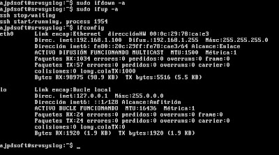 Establecer IP esttica en Linux Ubuntu Server