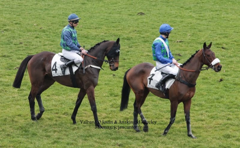 Photos Auteuil 1-03-2015 IMG_7193