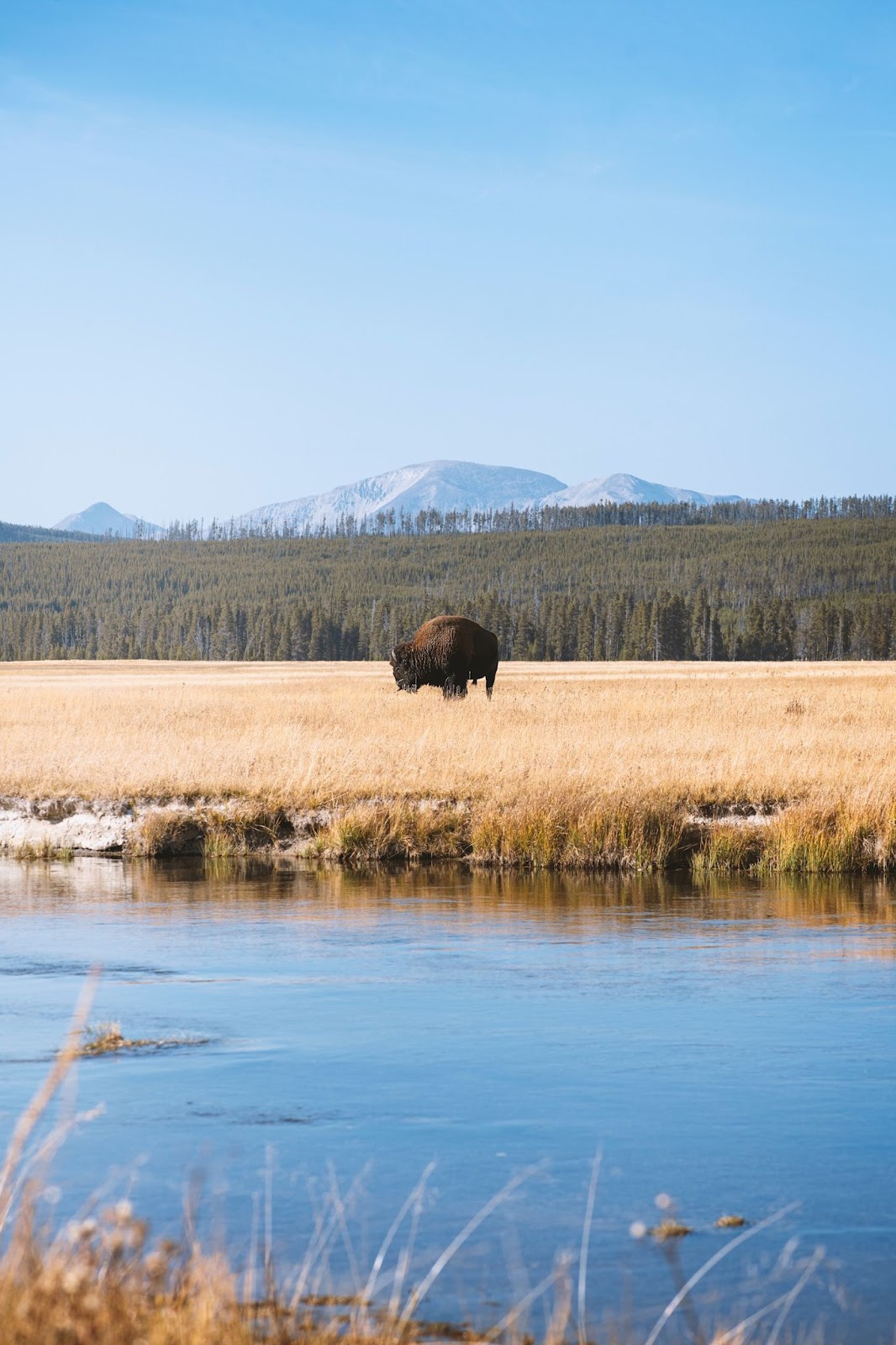 Yellowstone National Park