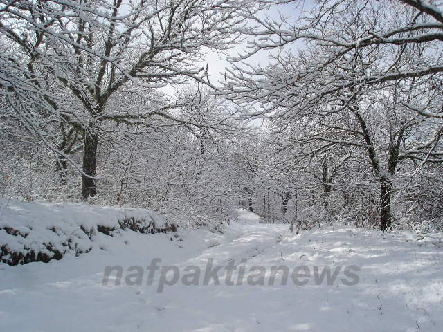  Στα λευκά η Ορεινή Ναυπακτία.Σπάνιας ομορφιάς εικόνες από την Άνω Χώρα.!!!!