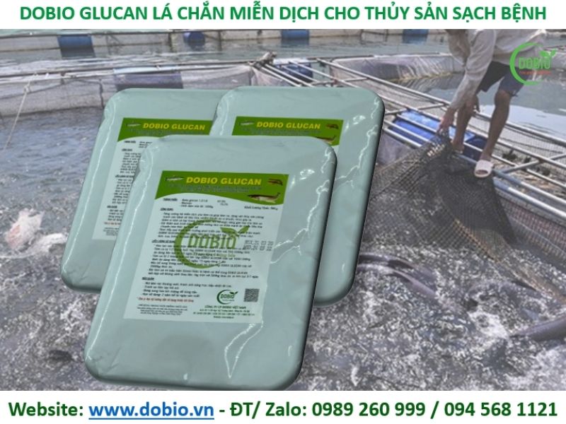 Sản phẩm Dobio Glucan tăng xuất đề kháng