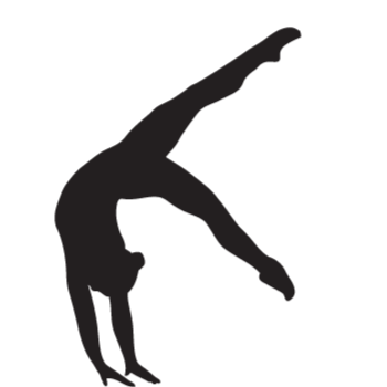 City Gymnastics Zeeburg logo