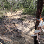 Rocky track popular with Mt Bikers (145824)