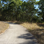 Concrete footpath in Green Point Reserve (403177)