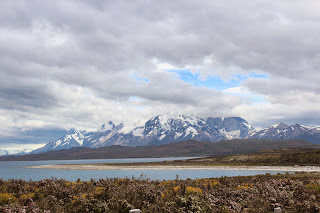 Rumbo al Norte, rumbo al Sur. Torres del Paine y lago Grey. - EL AÑO DE LAS DOS PRIMAVERAS: 4 MESES VIVIENDO CHILE (4)