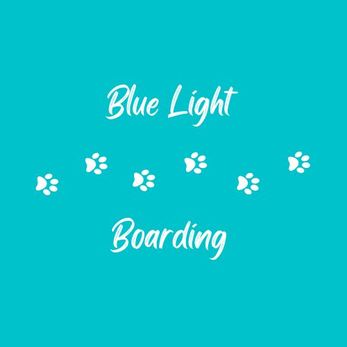 Blue Light Boarding and Pet Services logo