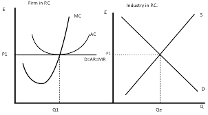 Fig. 2 Profit Maximisation