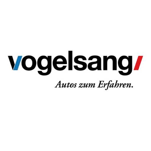 Vogelsang AG logo