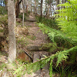 Crossing a gully on west side of Jenolan Caves Rd (417659)