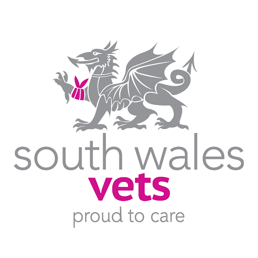 South Wales Vets, Newport logo