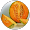 kovacsp melon
